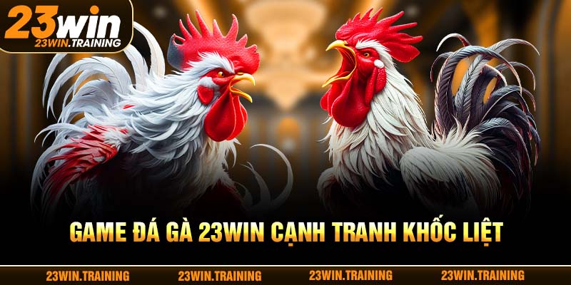 Game đá gà 23WIN cạnh tranh khốc liệt