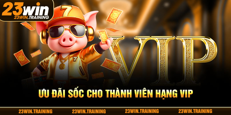 Ưu đãi sốc cho thành viên hạng vip