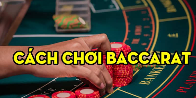 Hướng dẫn cách chơi Baccarat chi tiết cho newbie 